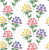 Cute floral pattern of hydrangea
