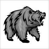 Grizzly Bear Mascot
