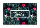 Tropical vector postcard design with bright hibiscus flowers and exotic palm leaves on dark background.