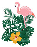 Vector Summer Time