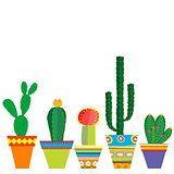 Mexico style pots with cactus flowers