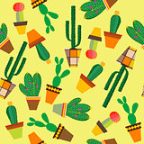 Yellow background with cactus flowers in pots
