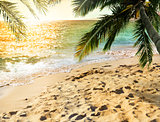 Tropical beach with coconut tree on sunset