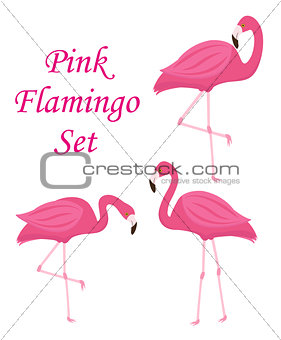 Pink flamingo set of objects. Isolated on white background. Vector illustration.