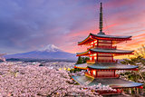 Pagoda and Fuji in Spring