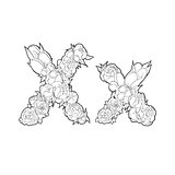 Letter X  made of flowers