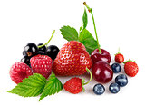 Organic berry fruity mix with green leaf