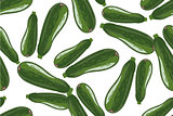 Seamless pattern with zucchini on a white background. Vector illustration on white