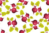 Seamless pattern with beets. Pattern under the mask vector