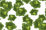Cabbage seamless pattern on white