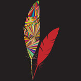 Abstract colored feather logo 