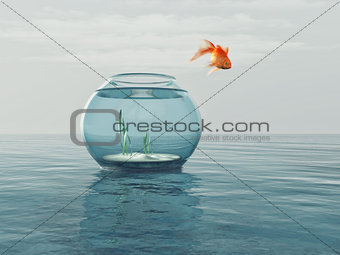 Goldfish in a bowl 
