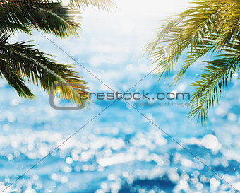 Tropical beach with coconut tree and bright sea