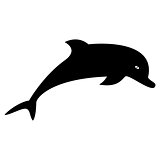 Dolphin the black color icon .