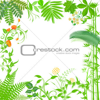 Background with green plants and flowers illustration