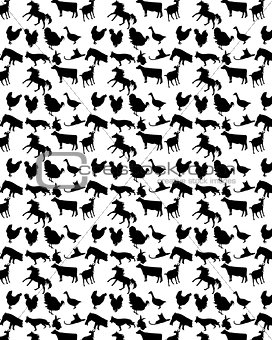 Pattern with pets
