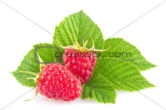 Ripe organic raspberry with green leaf