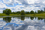 Landscape lake and forest
