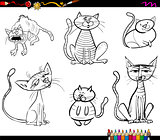cartoon cat characters coloring book