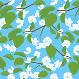 Blossoming Apple Tree spring Twig pattern on blue