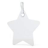 White plastic star label. Vertical. 3D