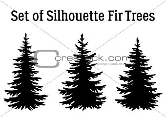 Christmas Fir Trees Silhouettes