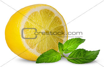 Half lemon and sprig of mint