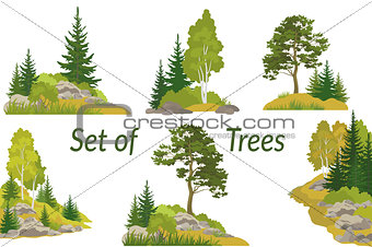 Landscapes with Trees and Rocks