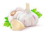 Garlic with parsley on white background