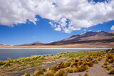 Altiplano laguna in sud Lipez reserva, Bolivia