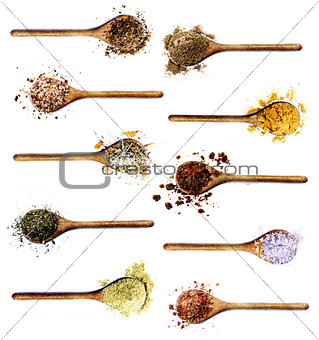 Collection of Spices