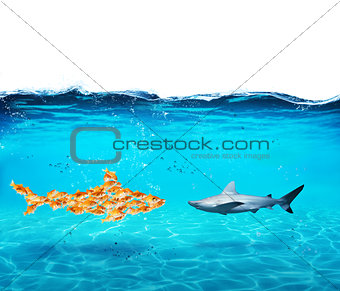 Big shark made of goldfishes. Concept of unity is strenght,teamwork and partnership