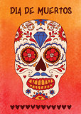 Vector skull color illustration, t-shirt graphics. Mexican skull on watercolor background.