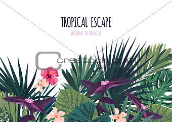 Floral horizontal postcard design with hibiscus flowers, monstera and royal palm leaves. Exotic hawaiian vector background.