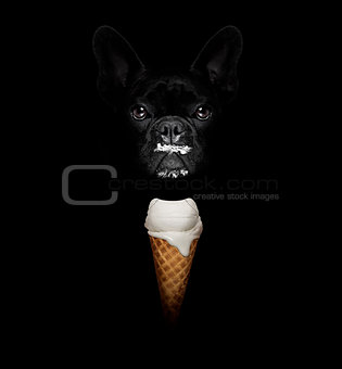 dog with ice cream