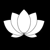 Lotus the white color icon .
