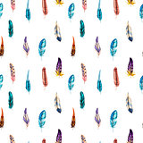 Seamless pattern with colorful detailed bird feathers. Vector illustration.