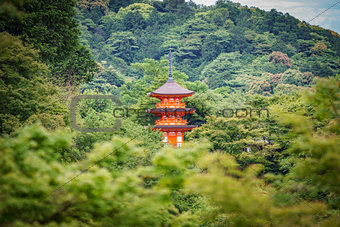 Japanese pagoda in the forest