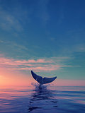 A whale dives