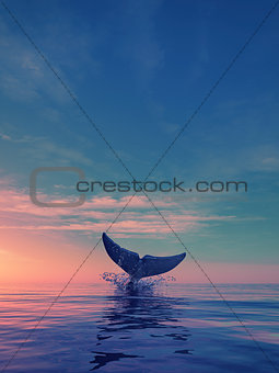 A whale dives