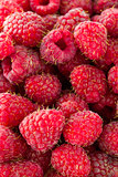 Red raspberries background