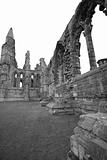 Whitby Abbey in Black & White