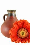red fresh gerber daisy with old jug with Clipping Path