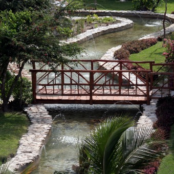Tropical Garden Bridge
