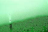Water Droplet Background - Green