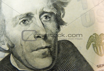 20 Dollar Bill Close Up