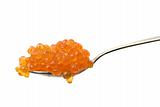 Red caviar on a spoon