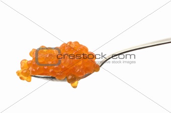 Red caviar on a spoon