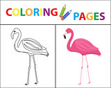 Coloring book page. Flamingo. Sketch outline and color version. Coloring for kids. Childrens education. Vector illustration.