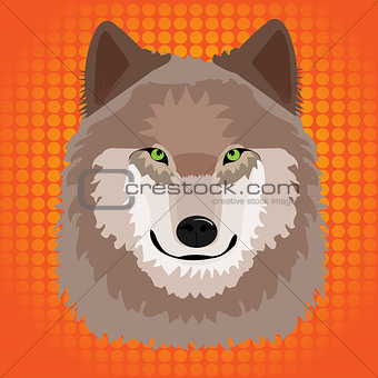 Illustration of a wild wolf with pop art background